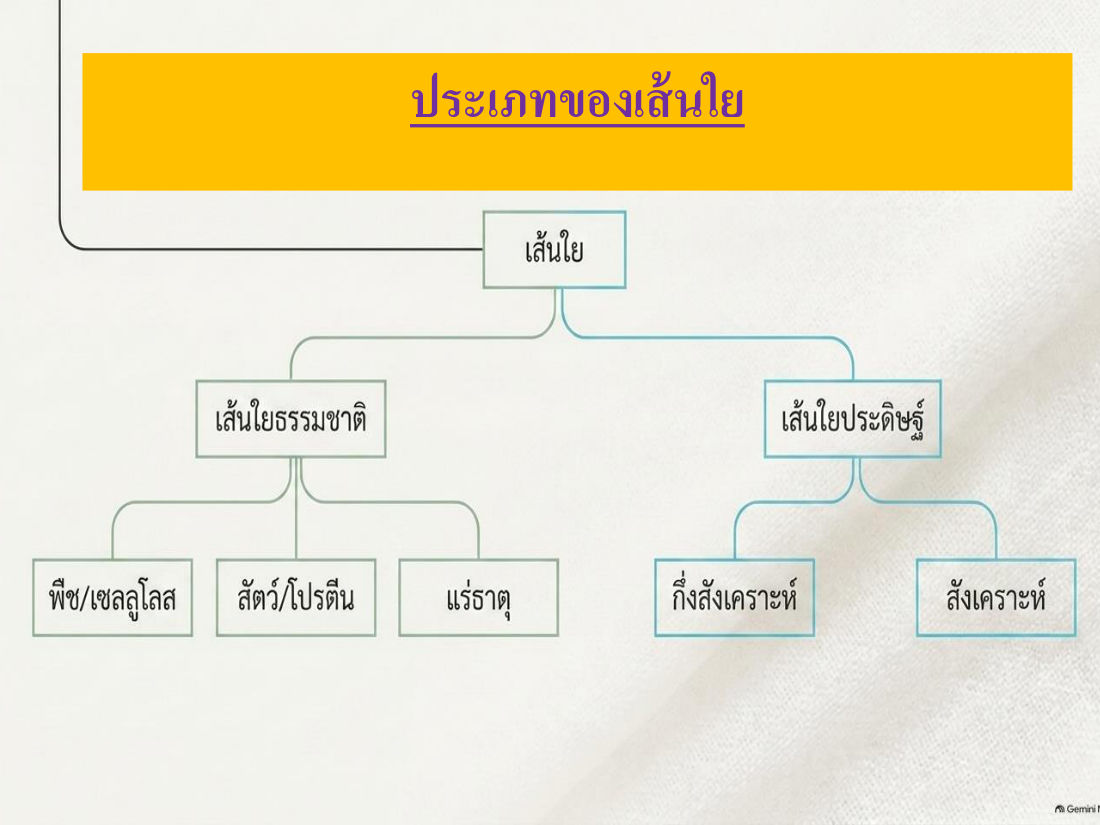 แผนภูมิประเภทของเส้นใย