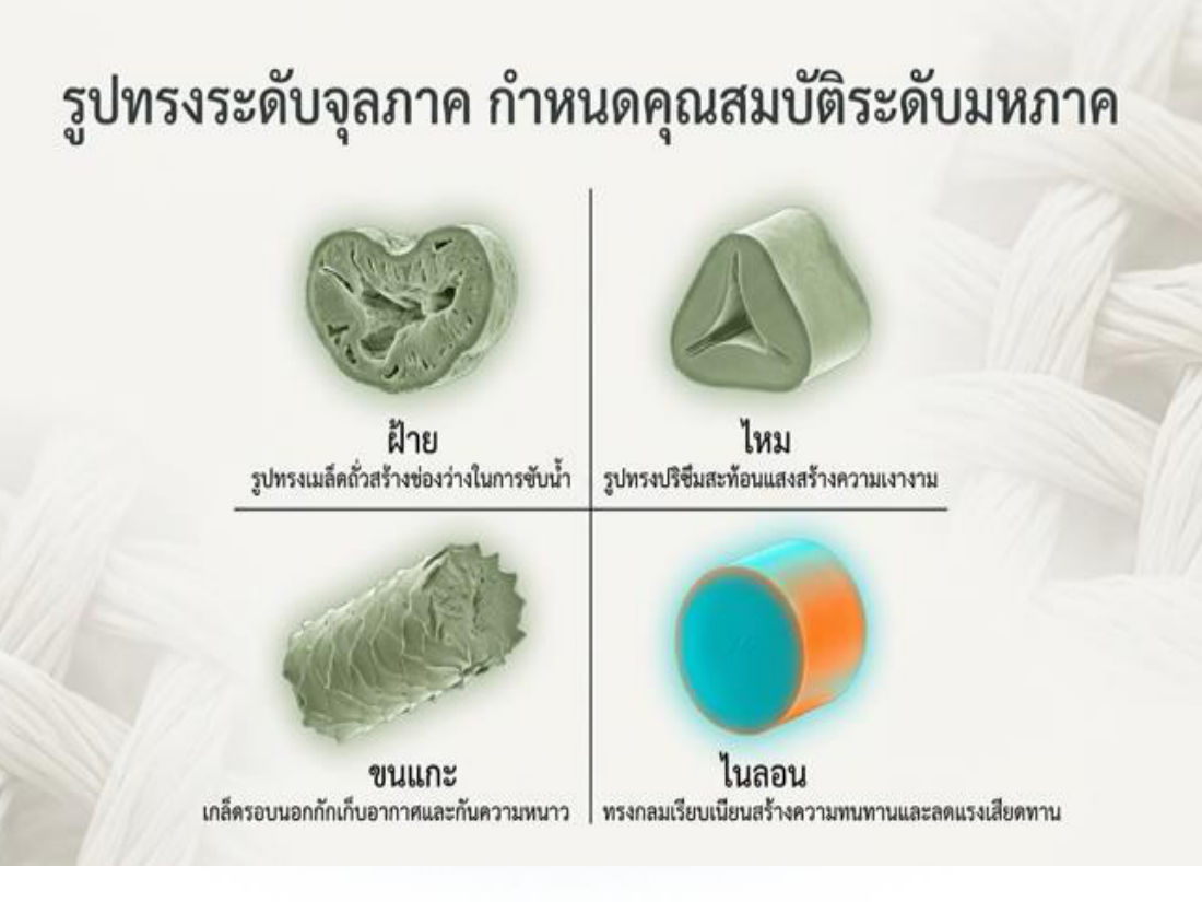 รูปทรงจุลภาคของเส้นใย